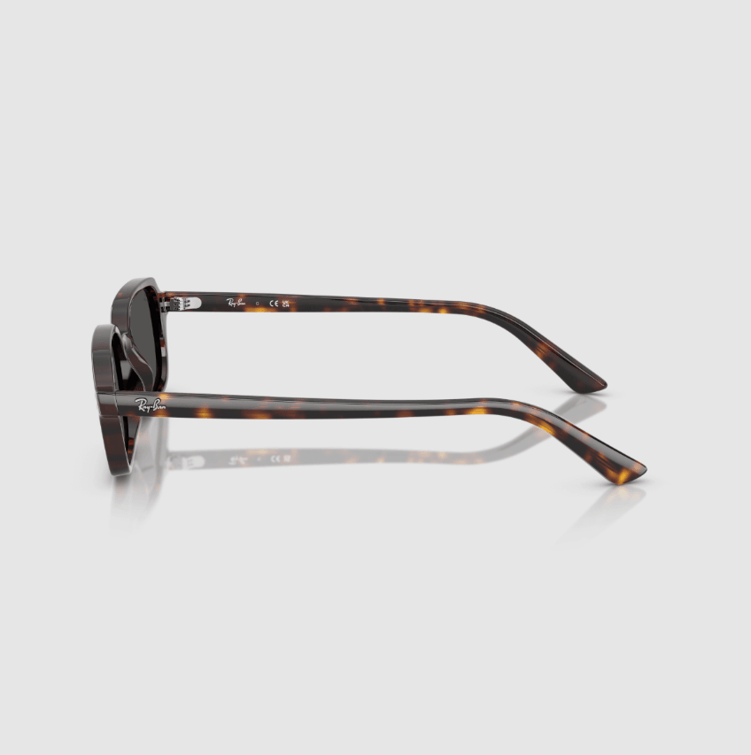 Zuri Bio-Based Brown Sunglasses RB4455