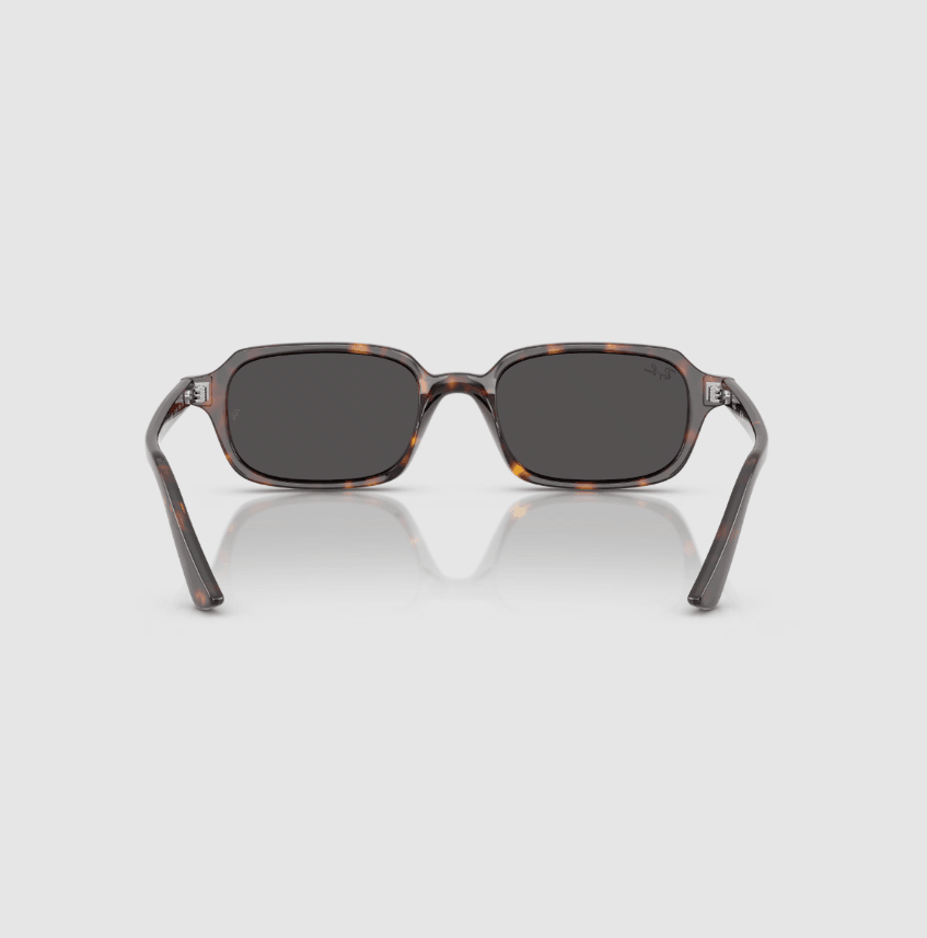 Zuri Bio-Based Brown Sunglasses RB4455