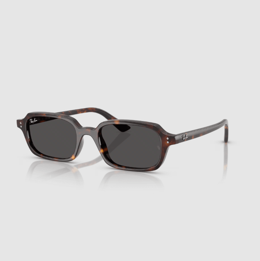 Zuri Bio-Based Brown Sunglasses RB4455