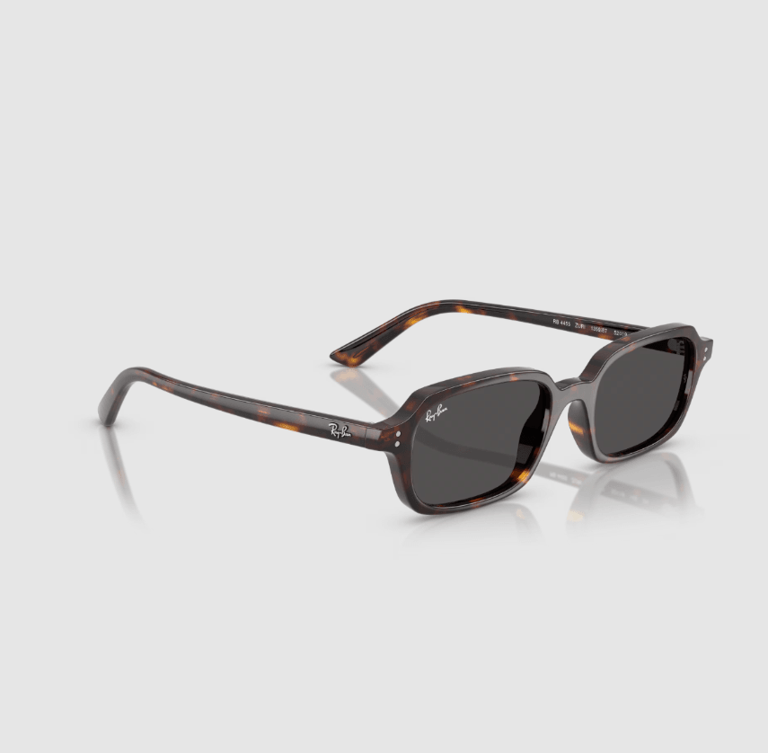 Zuri Bio-Based Brown Sunglasses RB4455