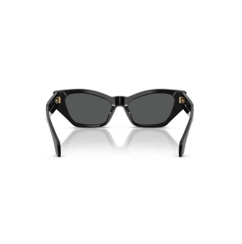 Cat Eye Frame Black Acetate Sunglasses 0VE4488UGB1/8753