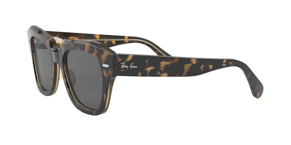 Brown Sunglasses 0RB21861292B149