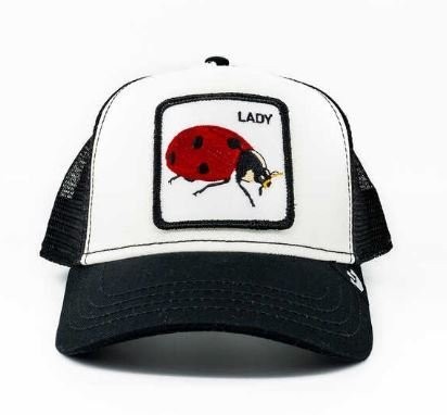 101-0571 Lady Bug