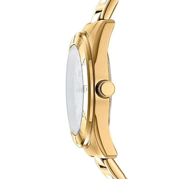 Chambers Multi Sport Gold Stainless Steel Women's Watch DK1L015M0035