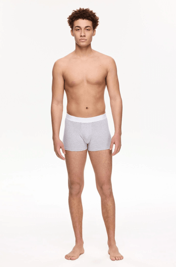 Grey Boxer