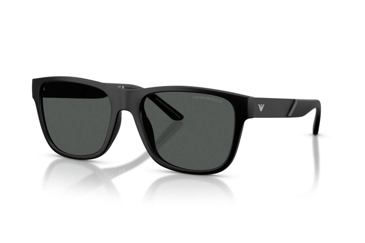 Black Injected Sunglasses 0EA4243