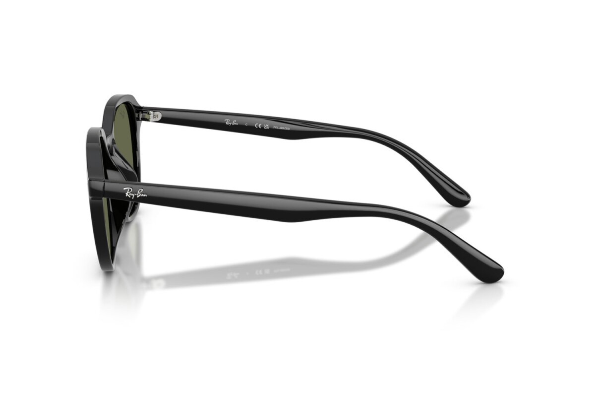 Black Sunglasses 0RB4459D901/9A54
