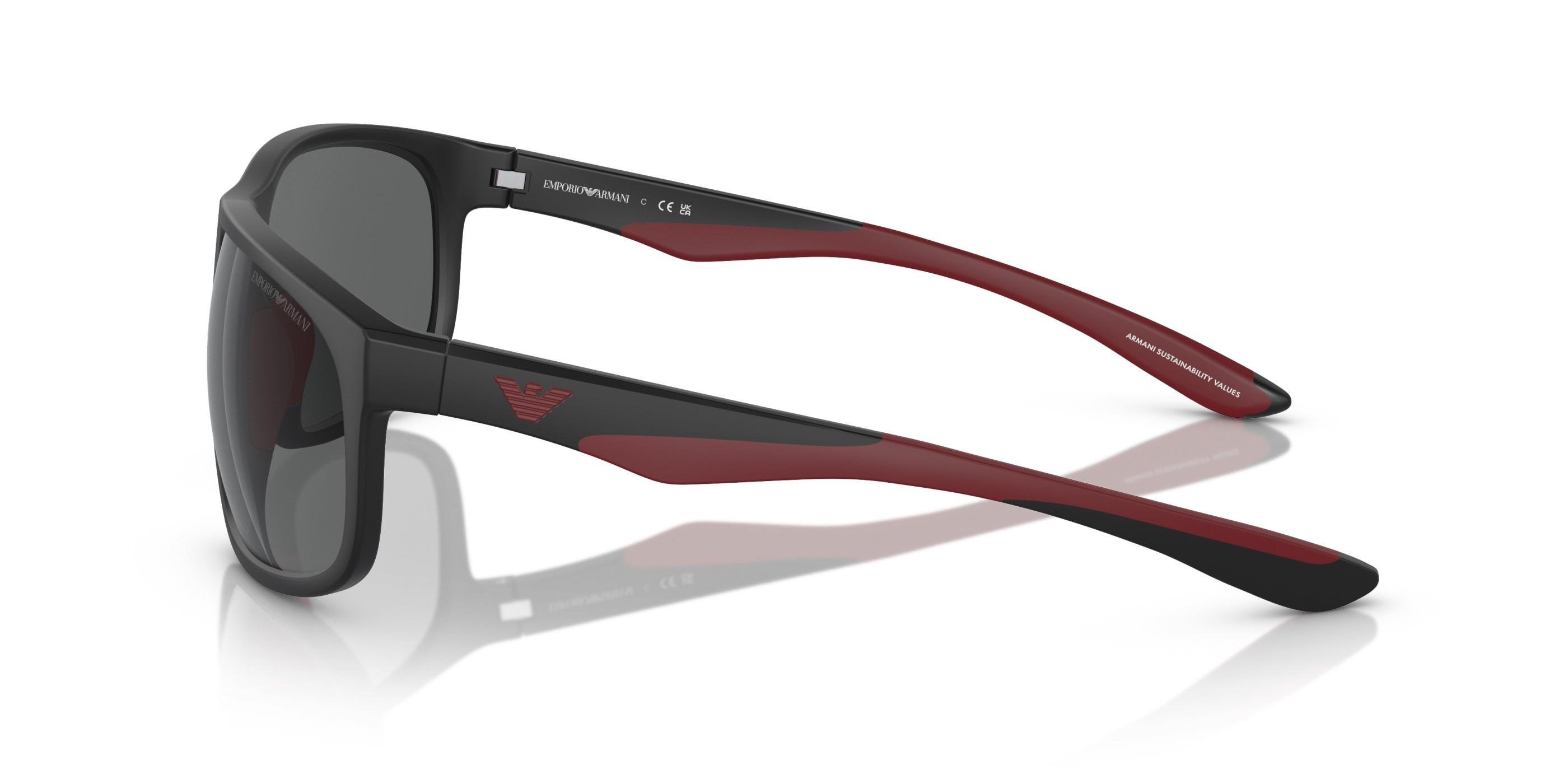 Black Injection Sunglasses 0EA4199U