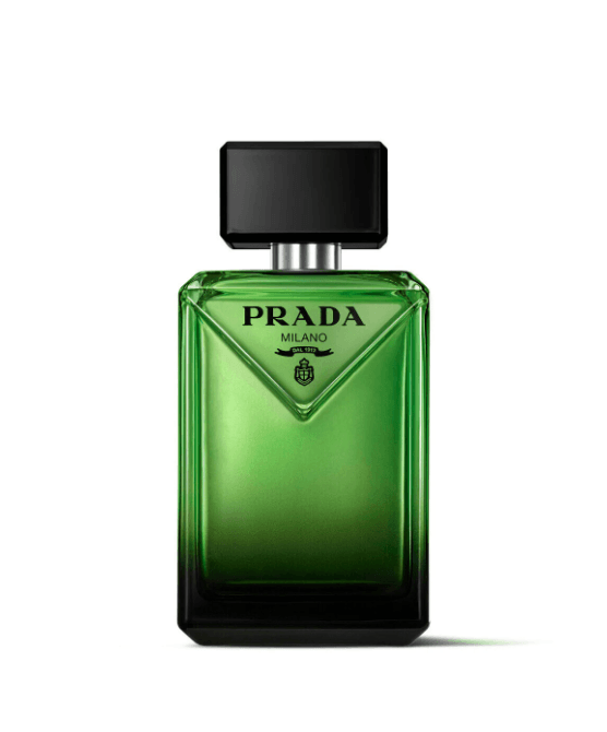 Paradigme EDP 100ml