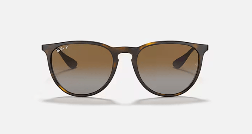 Erika Classic Brown Sunglasses 0RB4171710/T554
