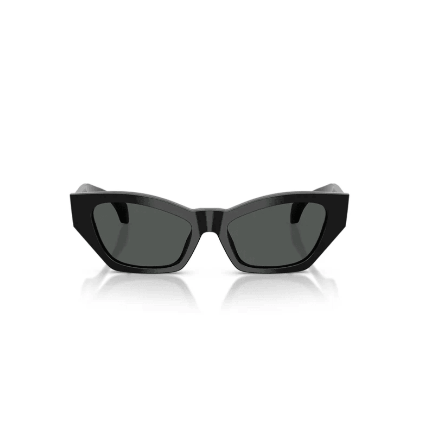 Cat Eye Frame Black Acetate Sunglasses 0VE4488UGB1/8753