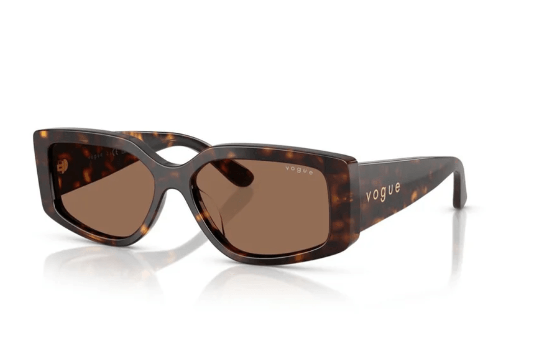 Brown Acetate Sunglasses 0VO5642SU