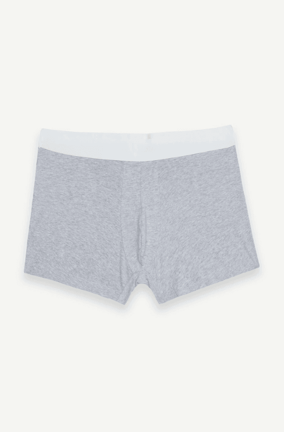 Grey Boxer