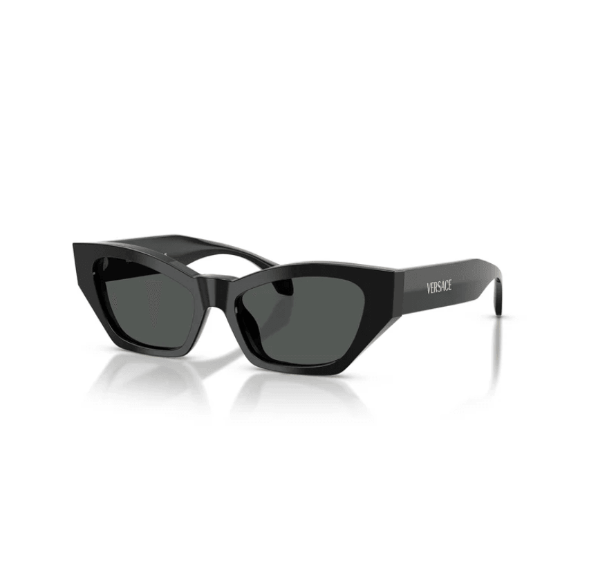 Cat Eye Frame Black Acetate Sunglasses 0VE4488UGB1/8753