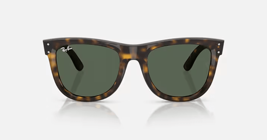 Wayfarer Reverse Brown 0RBR0502S6790VR50