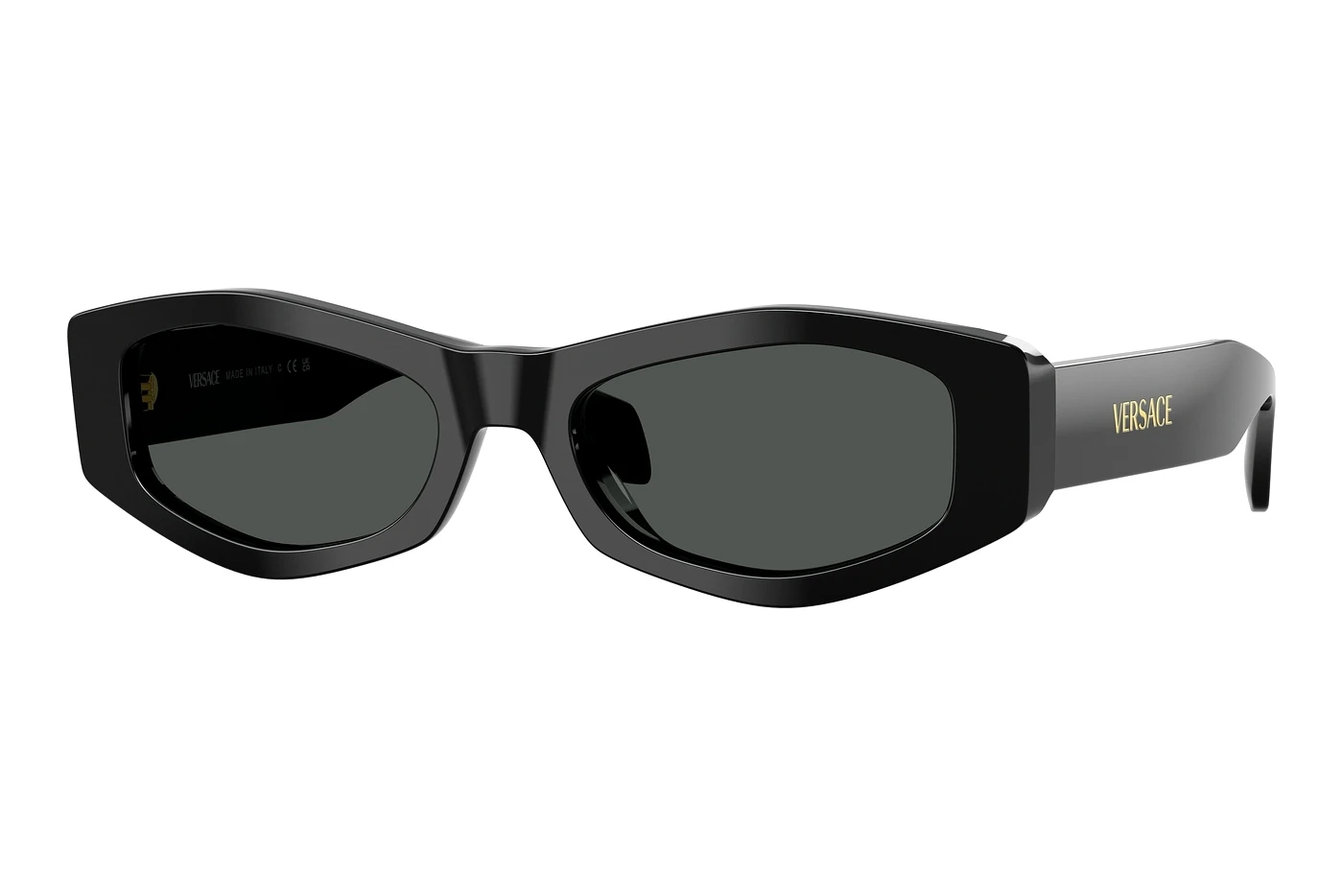Black Acetate Sunglasses 0VE4487