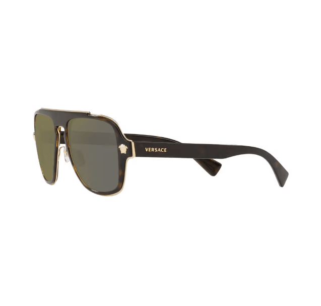 Brown Sunglasses 0VE219912524T56