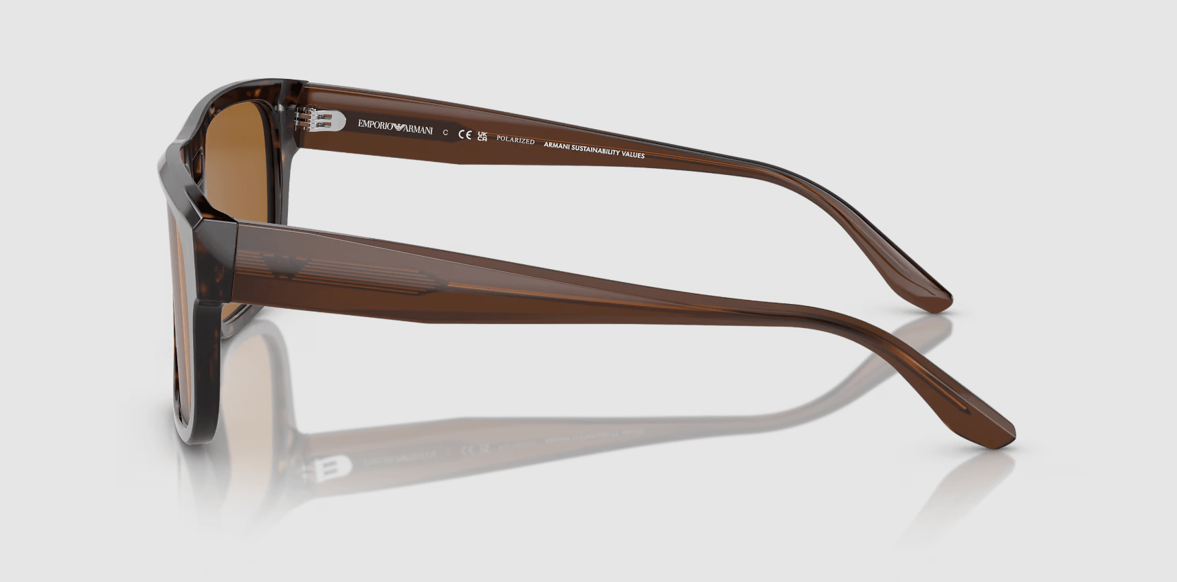 Logo Pillow Brown Sunglasses 0EA4197587983 57 