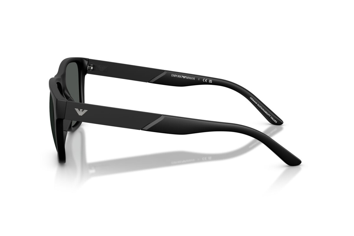 Black Injected Sunglasses 0EA4243