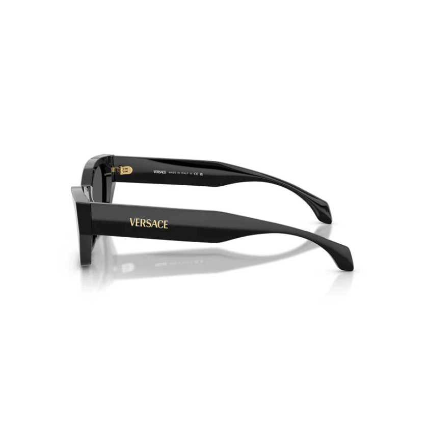 Cat Eye Frame Black Acetate Sunglasses 0VE4488UGB1/8753