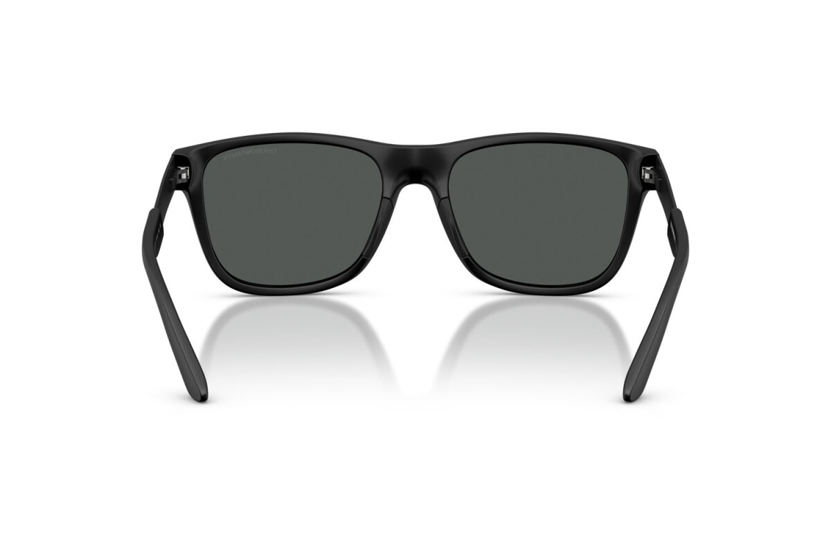 Black Injected Sunglasses 0EA4243