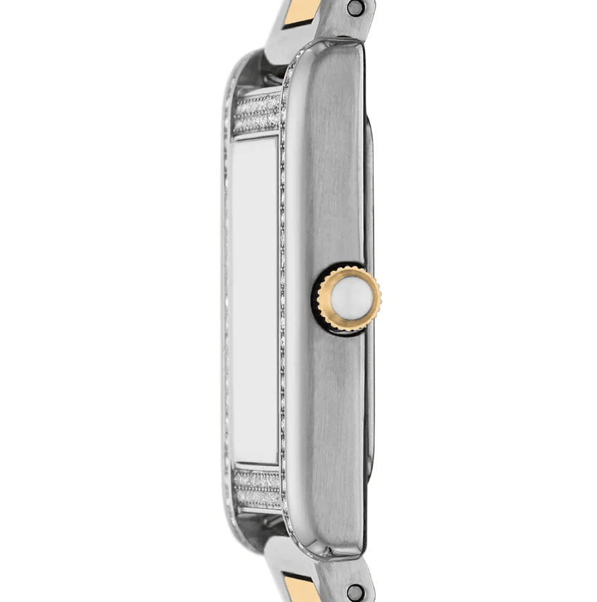 Two Tone Analogue Stainless Steel Women's Watch AR11642