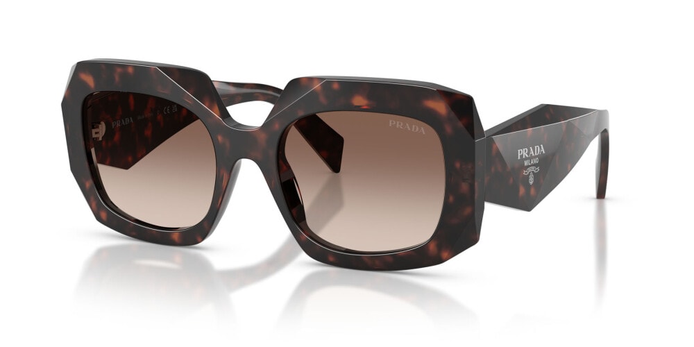 Brown Acetate Sunglasses 0PRB23S