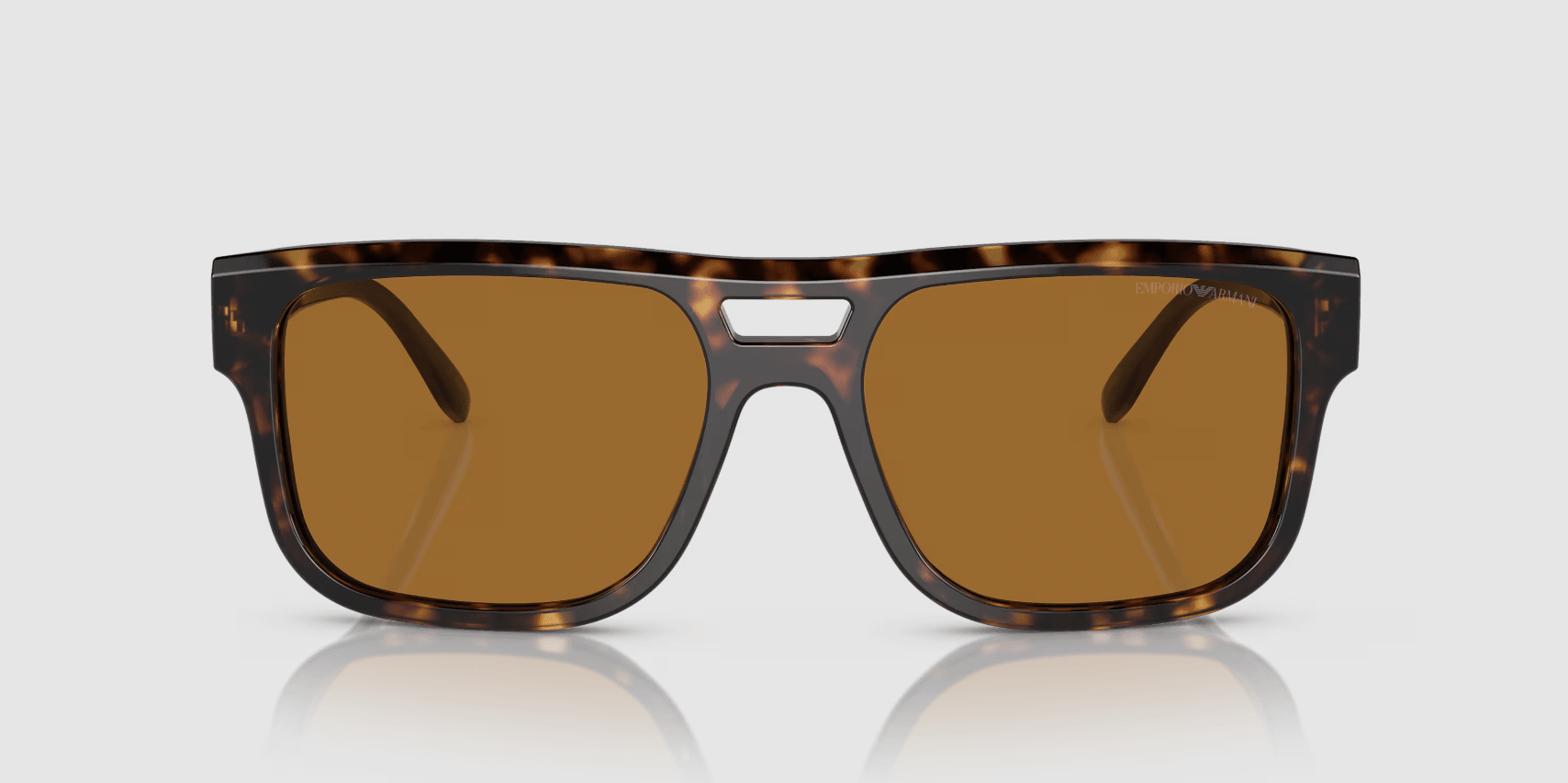 Logo Pillow Brown Sunglasses 0EA4197587983 57 