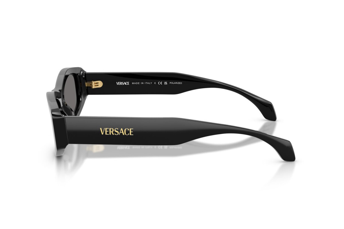 Black Acetate Sunglasses 0VE4487GB1/8154