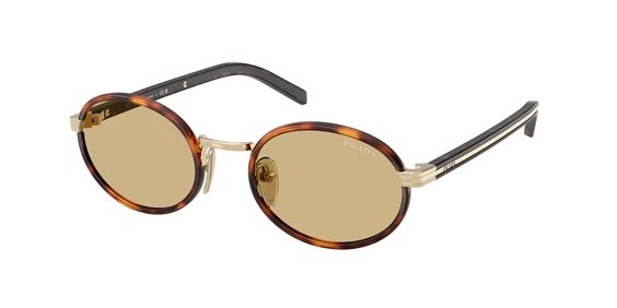 Brown and Yellow Oval Sunglasses 0PR B56S21E10R52