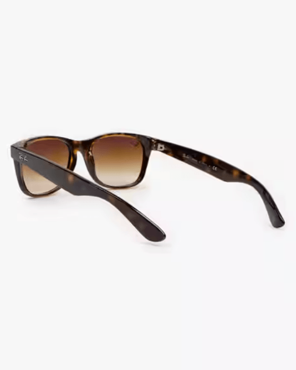 Full-Rim Brown Wayferers 0RB2132710/5155