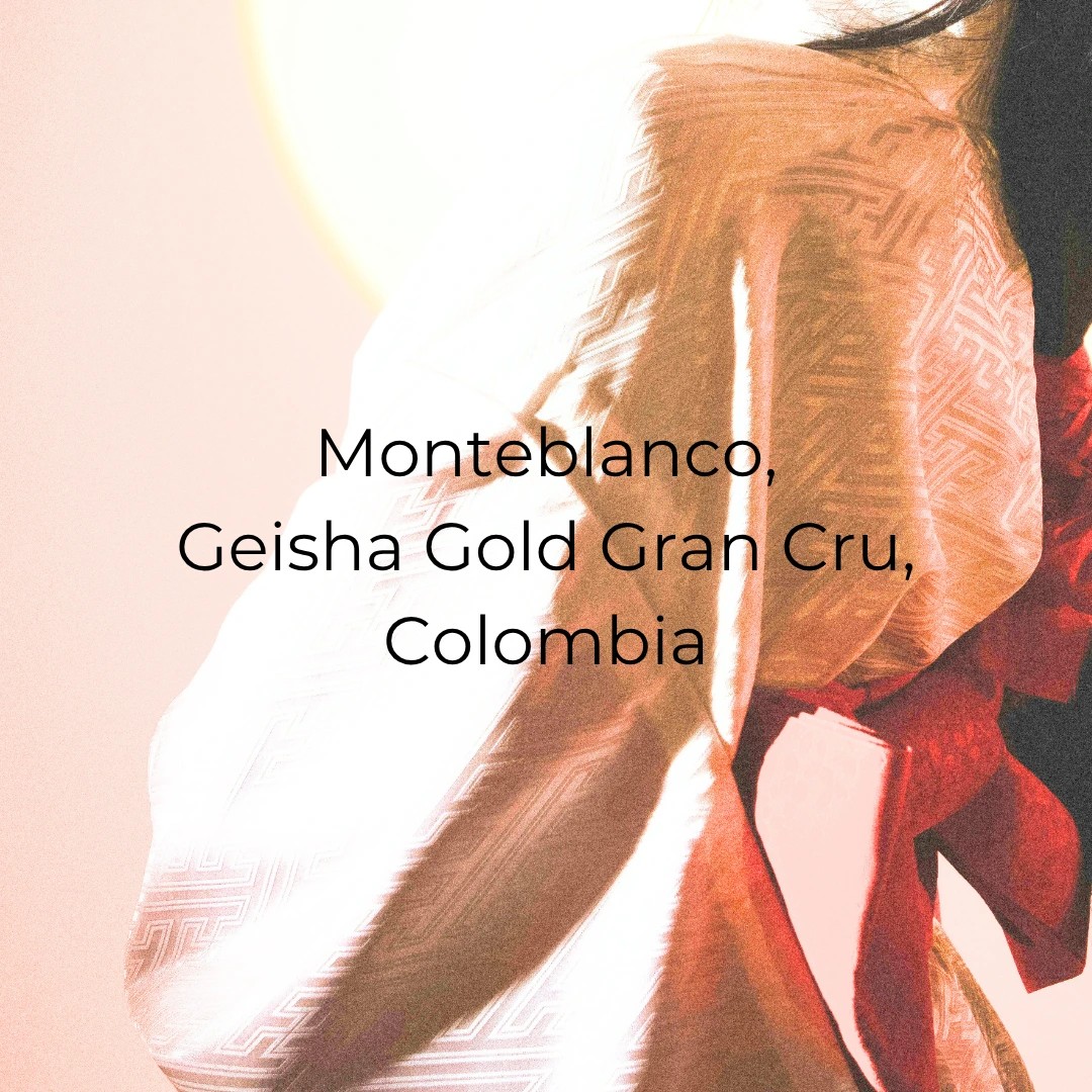 Monteblanco, Geisha Gold Gran Cru, Colombia