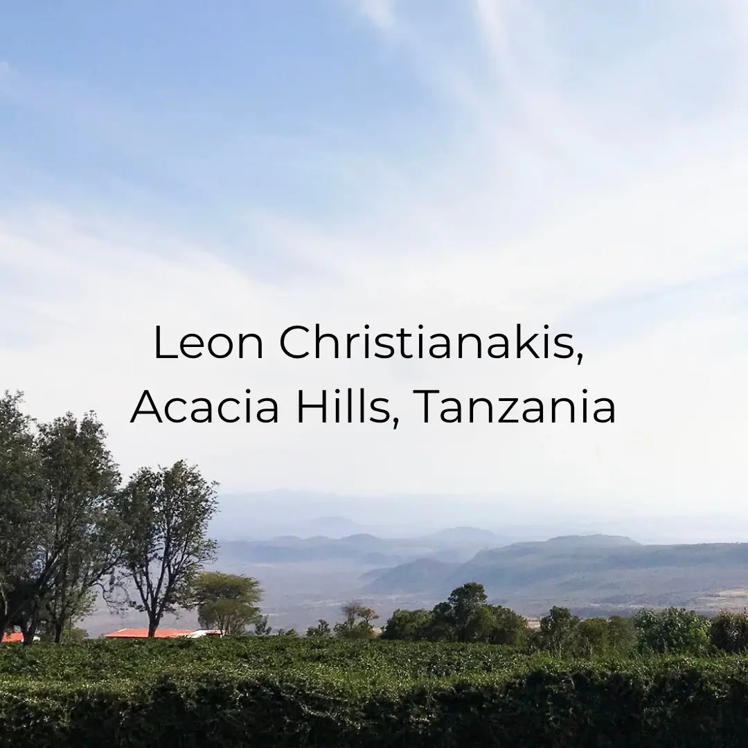 Leon Christianakis, Acacia Hills, Tanzania, Natural