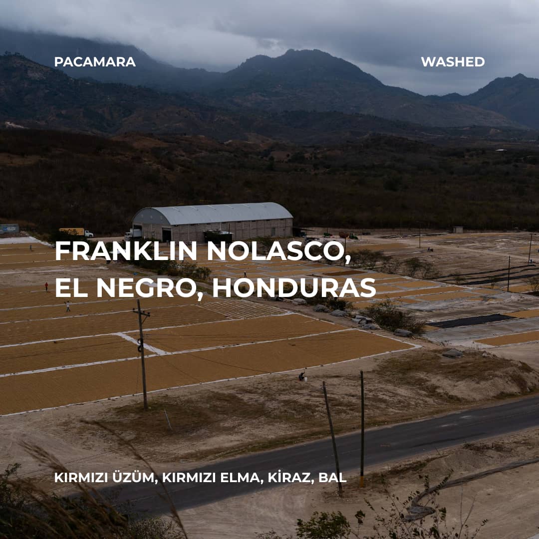 Franklin Nolasco, El Negro, Honduras