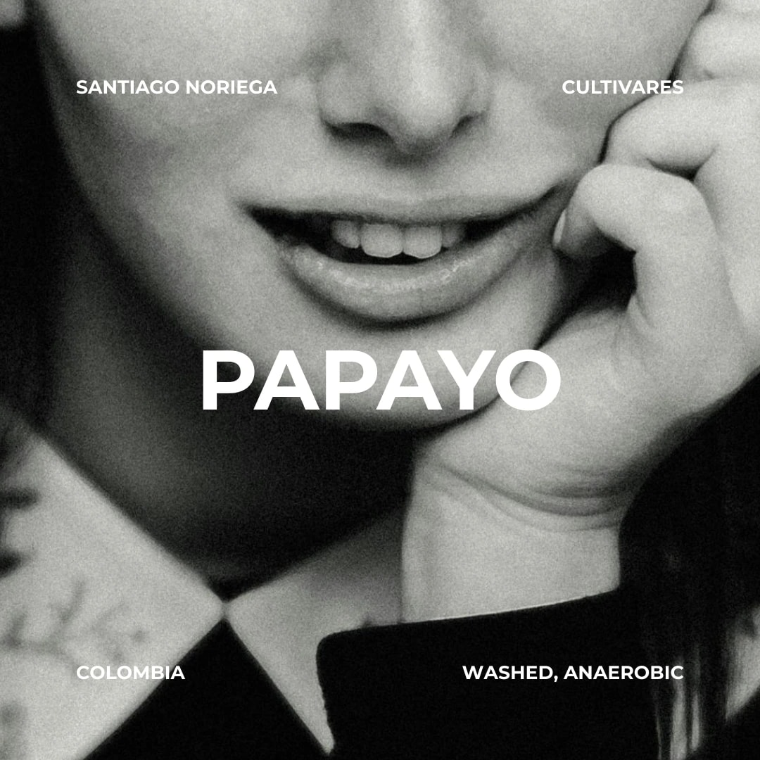 Santiago Noriega, Cultivares, Colombia