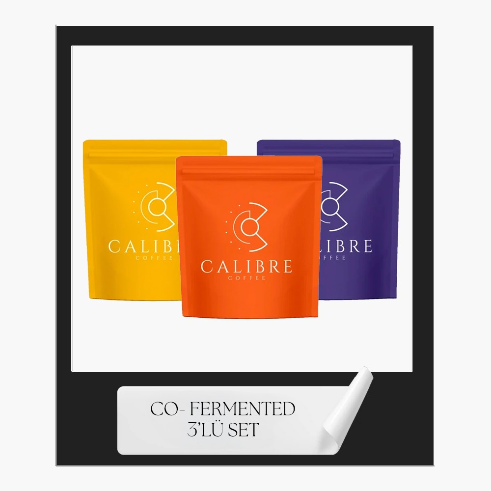Co-Fermented 3'lü Set