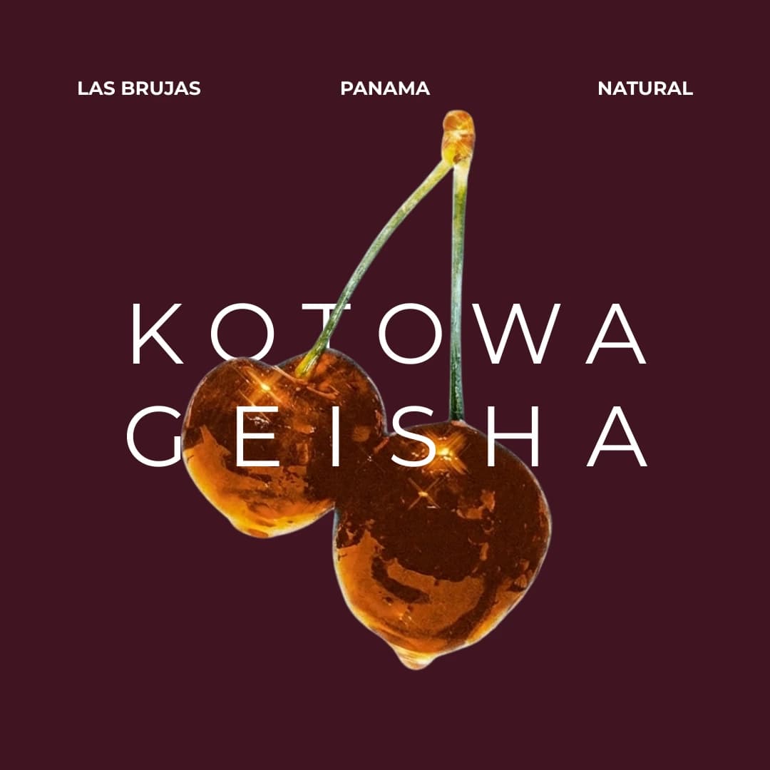 Kotowa, Las Brujas, Natural, Geisha, Panama