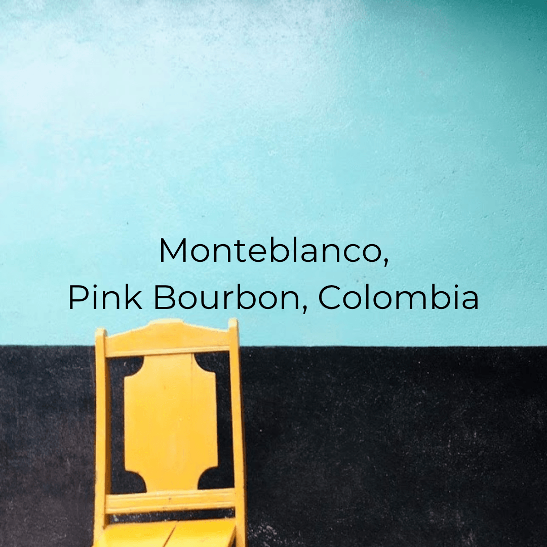 Monteblanco, Pink Bourbon, Colombia