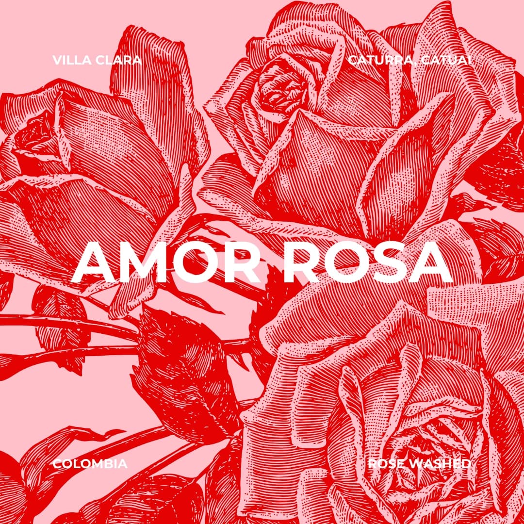 Amor Rosa, Colombia