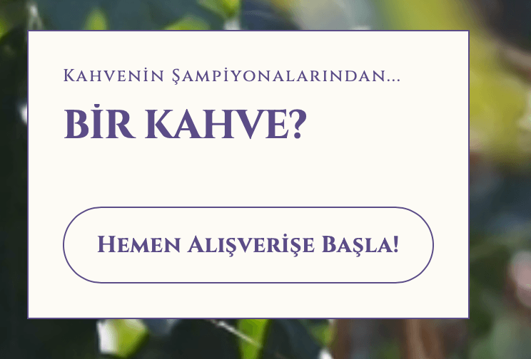 coffeecalibre.com