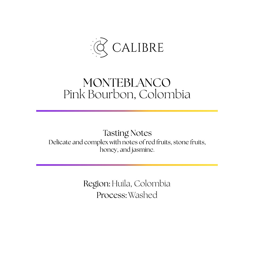 Monteblanco, Pink Bourbon, Colombia