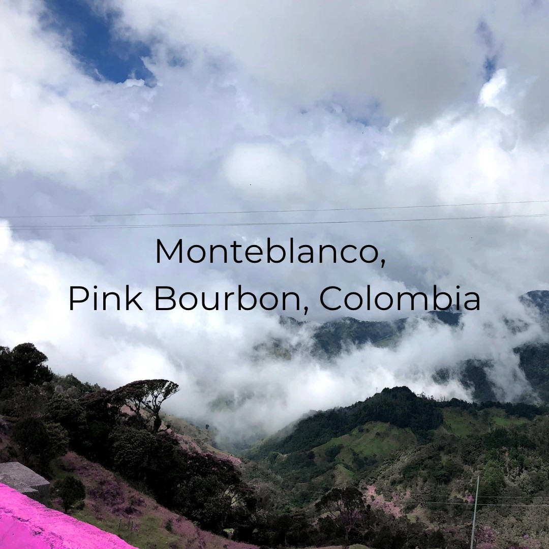 Monteblanco, Pink Bourbon, Colombia