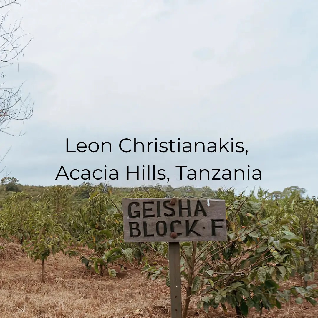 Leon Christianakis, Acacia Hills, Tanzania, Geisha AB/PB