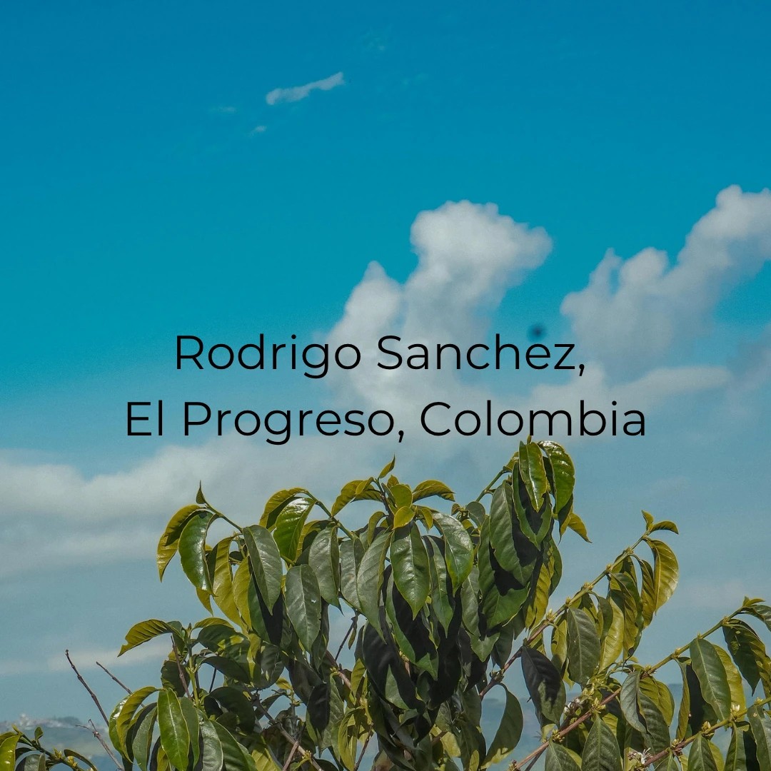 Rodrigo Sanchez, El Progreso, Colombia