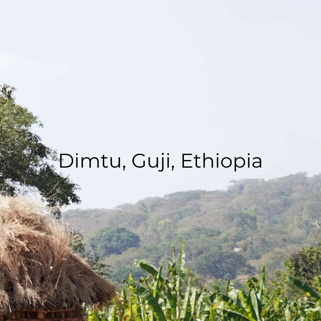 Dimtu, Guji, Ethiopia