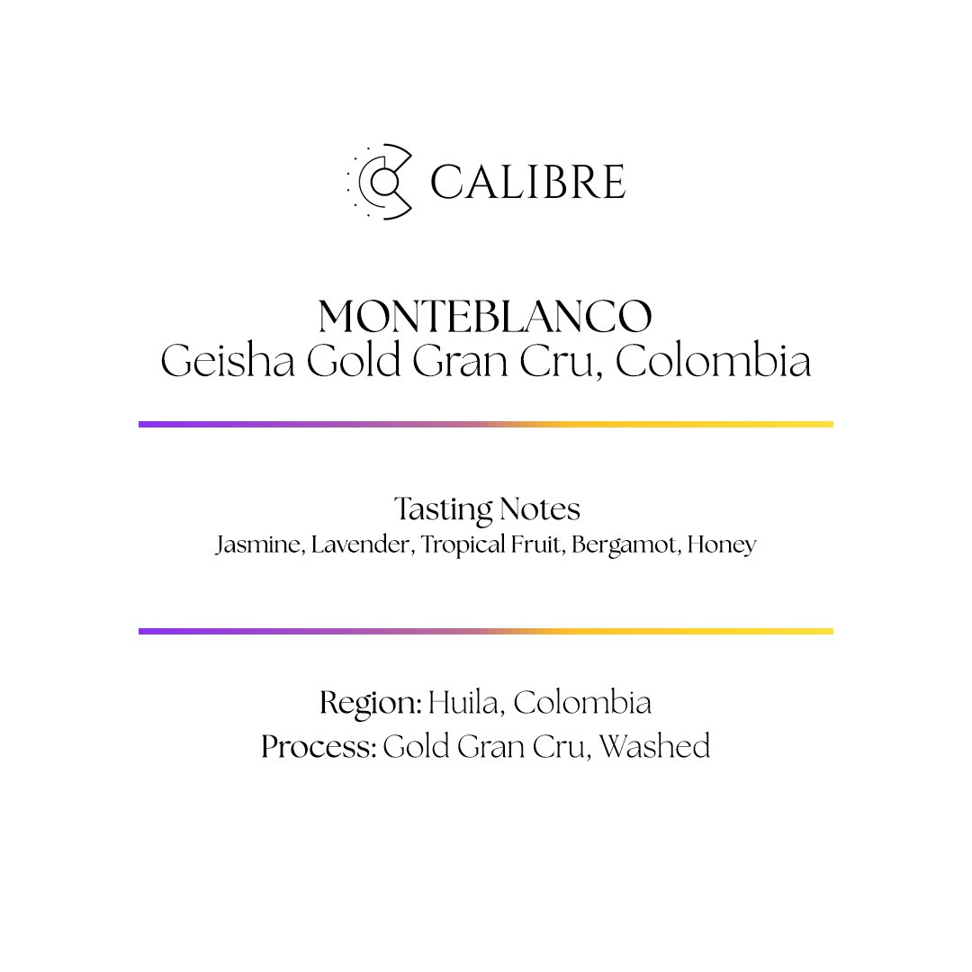 Monteblanco, Geisha Gold Gran Cru, Colombia