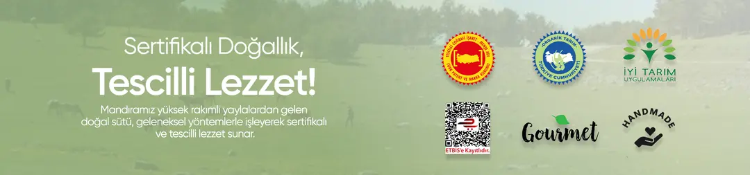 Banner Görseli
