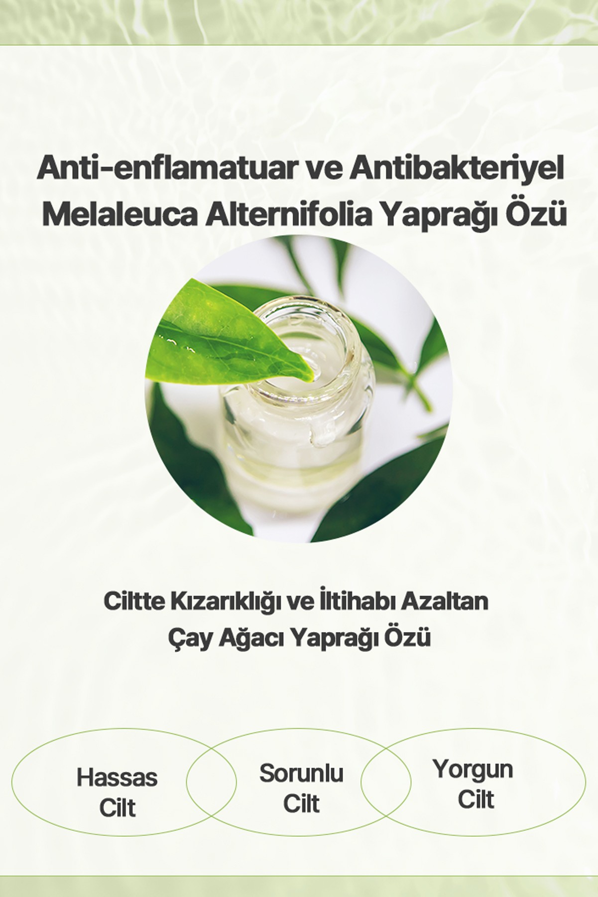 Çay Ağacı Özü Kore Tonik Gözenek Sıkılaştırıcı Akne Karşıtı Yağ Dengeleyici Arındırıcı 130 ml