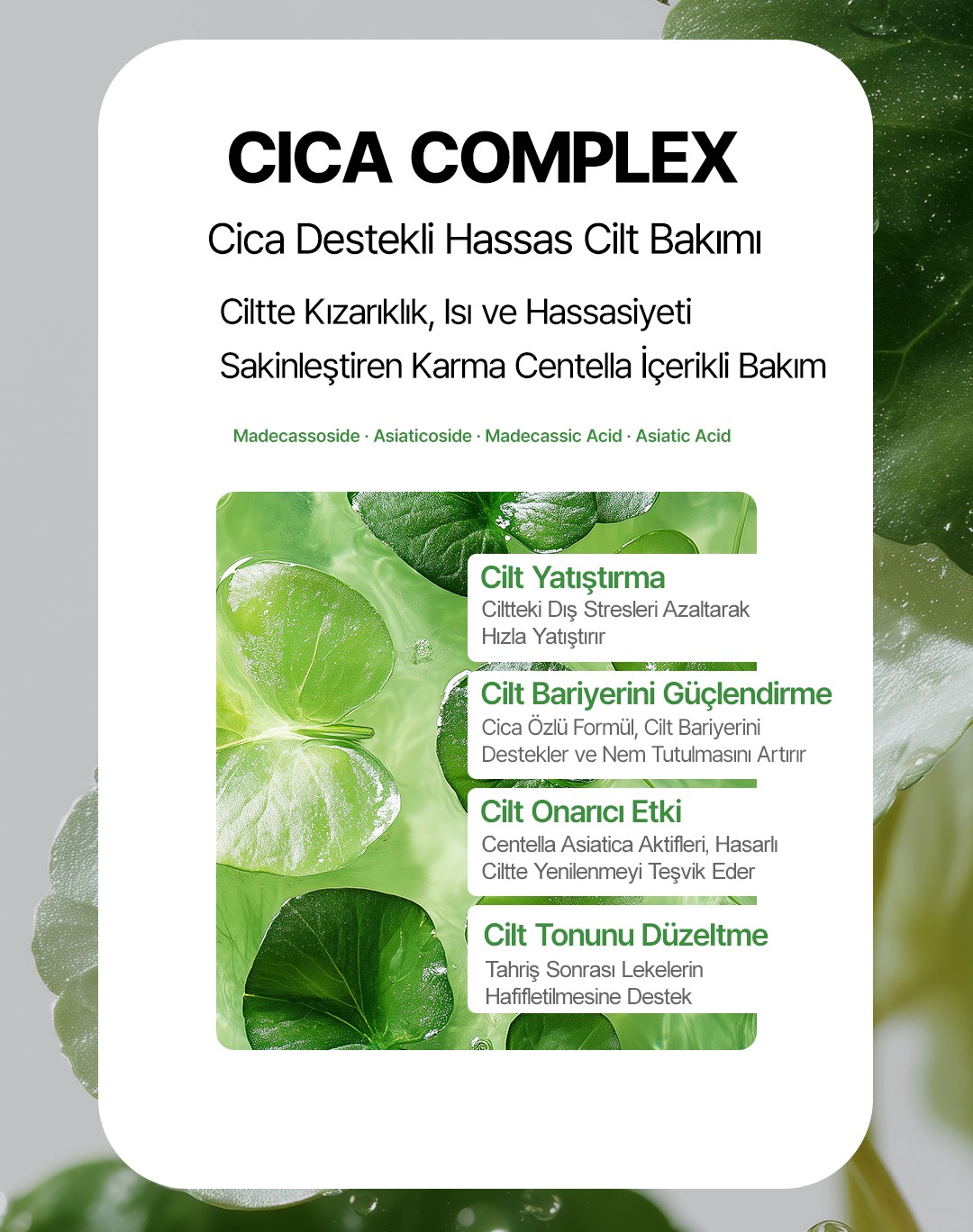 Tekli 1 Adet Cica Komplex İçeren Yatıştırıcı Nemlendirici Canlandırıcı JINJEONGTOKTOK Kore Kağıt Yüz Maskesi