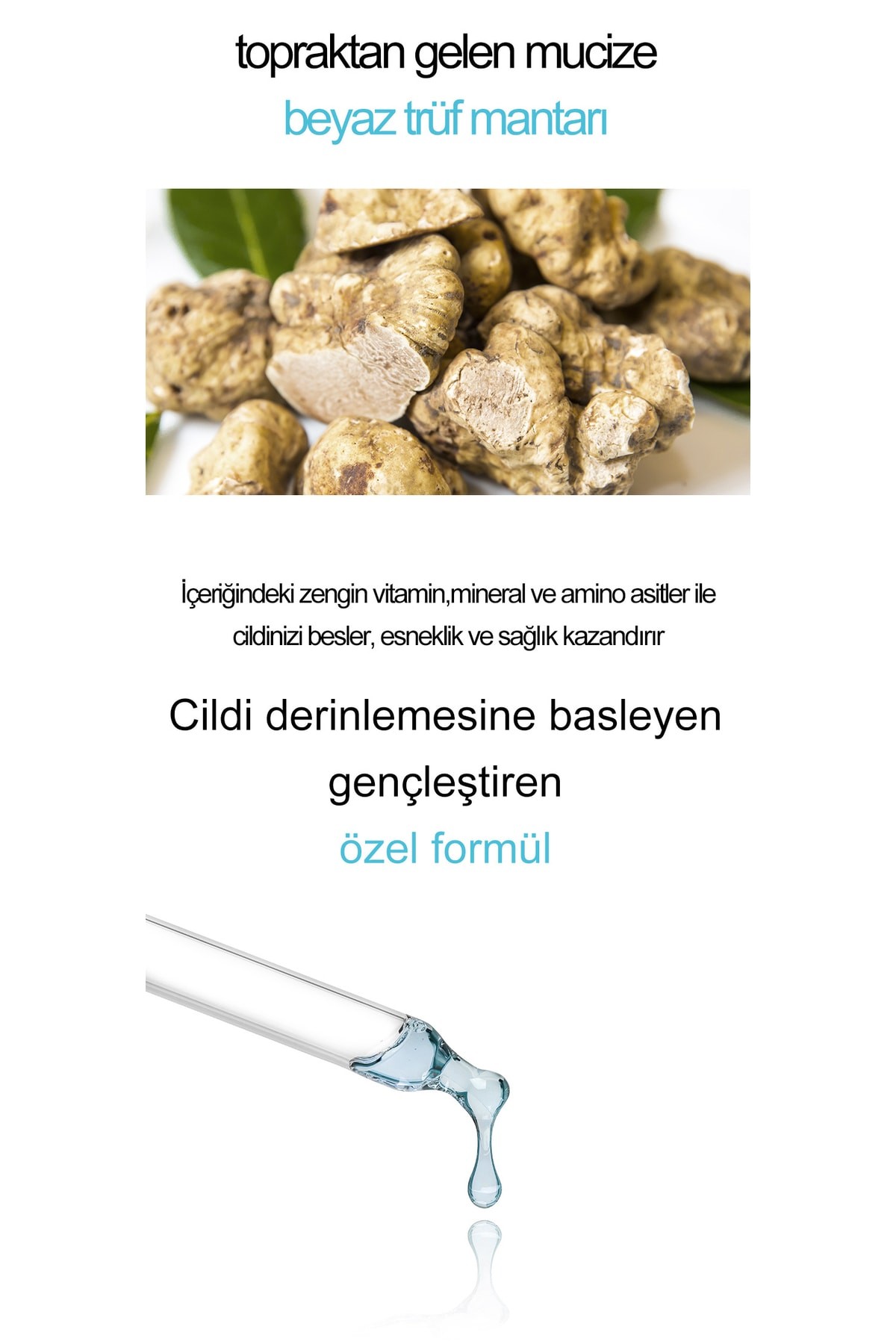 Muto Trüf Ve Mangosteen Özlü Kırışıklık Akne Giderici Niacinamide Ton Eşitleyici Serum 30 ml